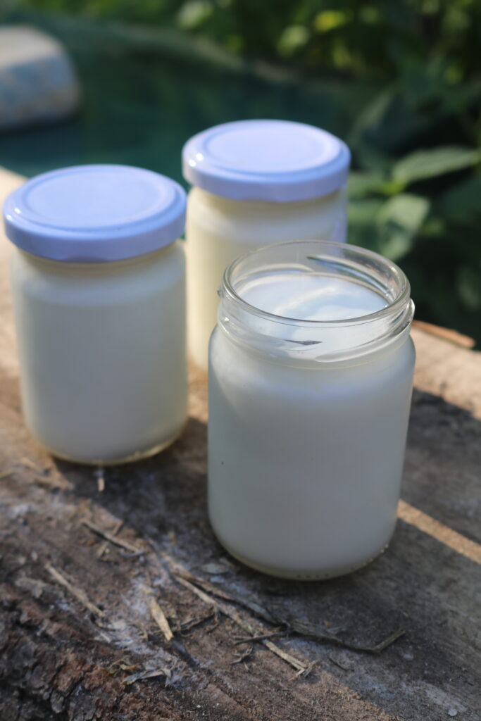 vasetti yogurt naturale